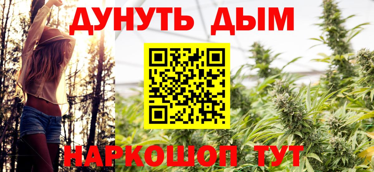 Балашов  Канабис OG Kush  Вход с VPN  Конопля гибрид 
